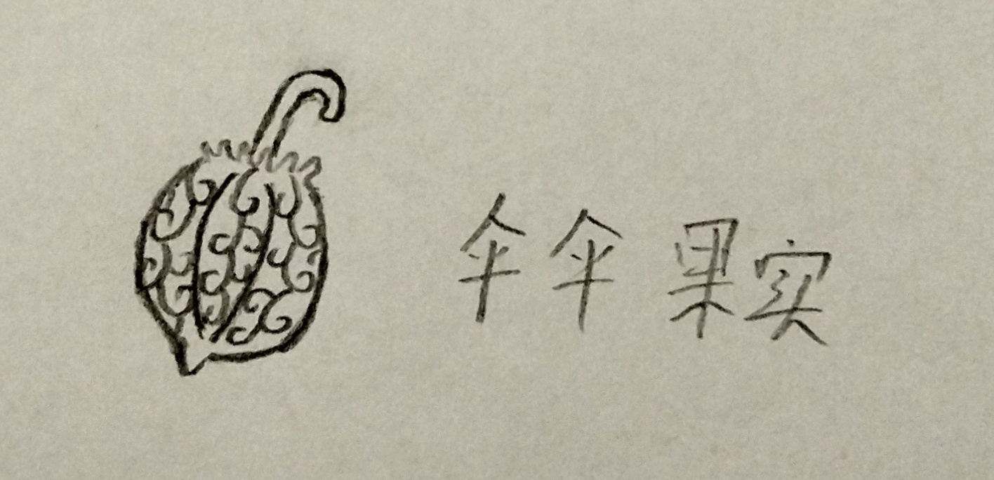 san02.jpg