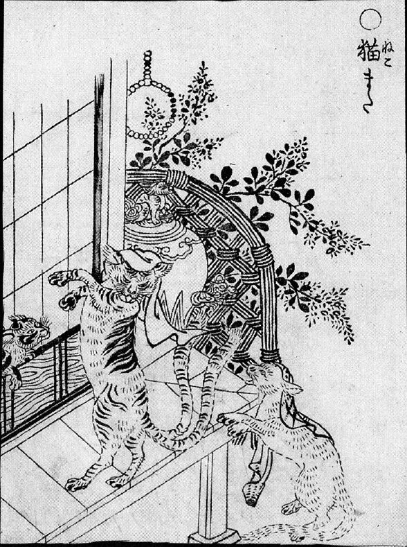 008猫また.jpg