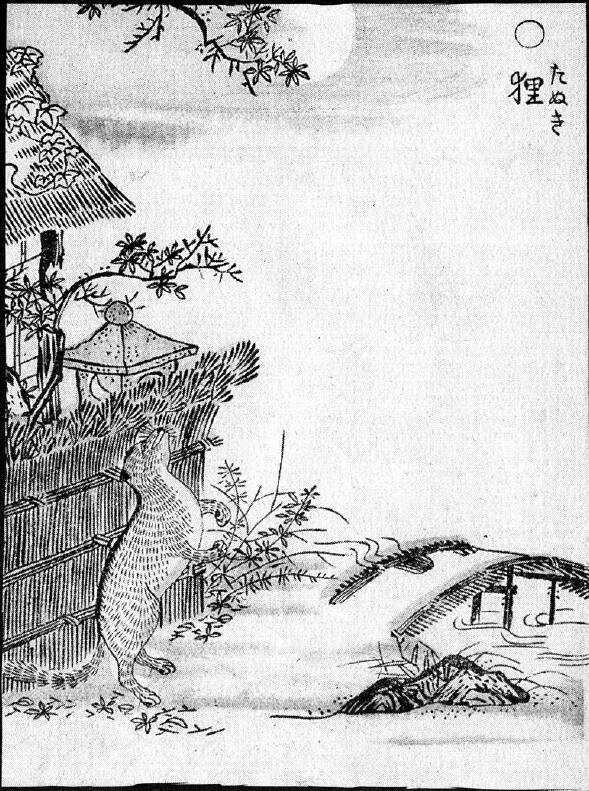 012狸.jpg