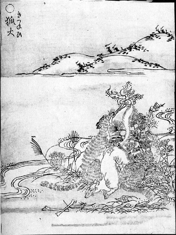 015狐火.jpg
