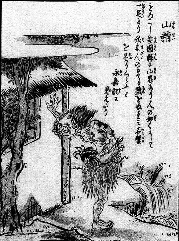 055山精.jpg