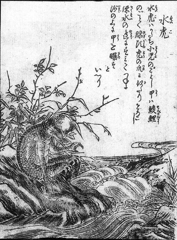 057水虎.jpg