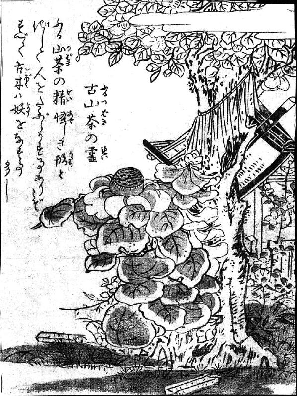 081古山茶の霊.jpg