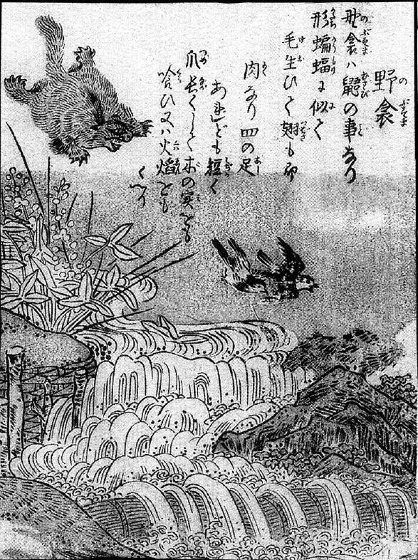 093野衾.jpg