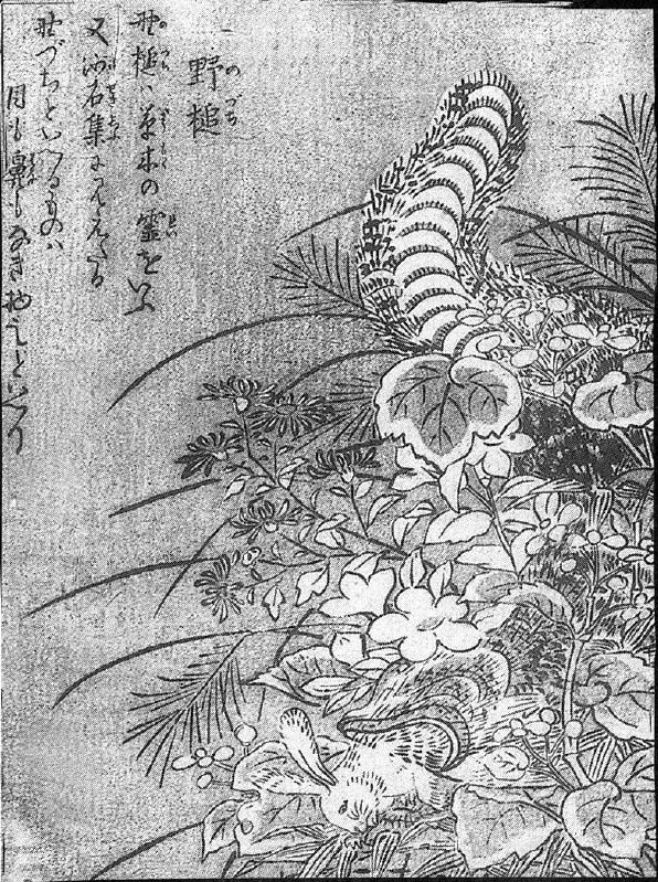 094野槌.jpg