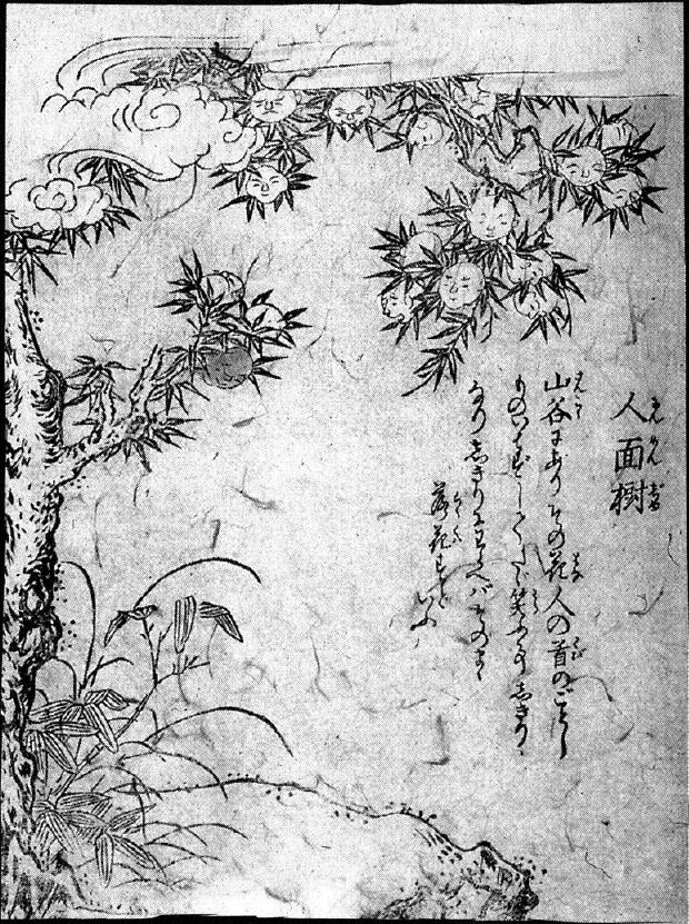 109人面樹.jpg