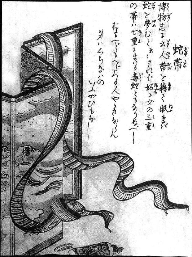 134蛇帯.jpg