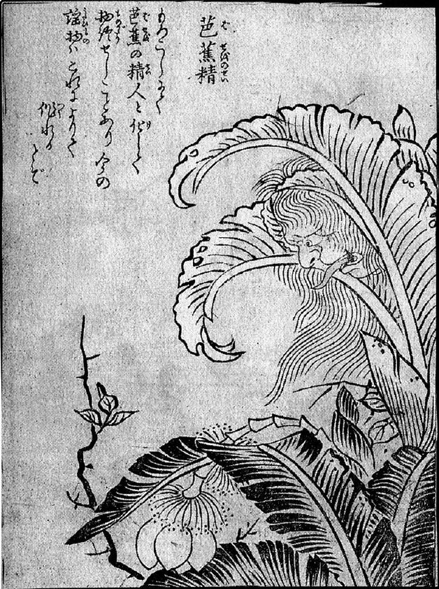 144芭蕉精.jpg
