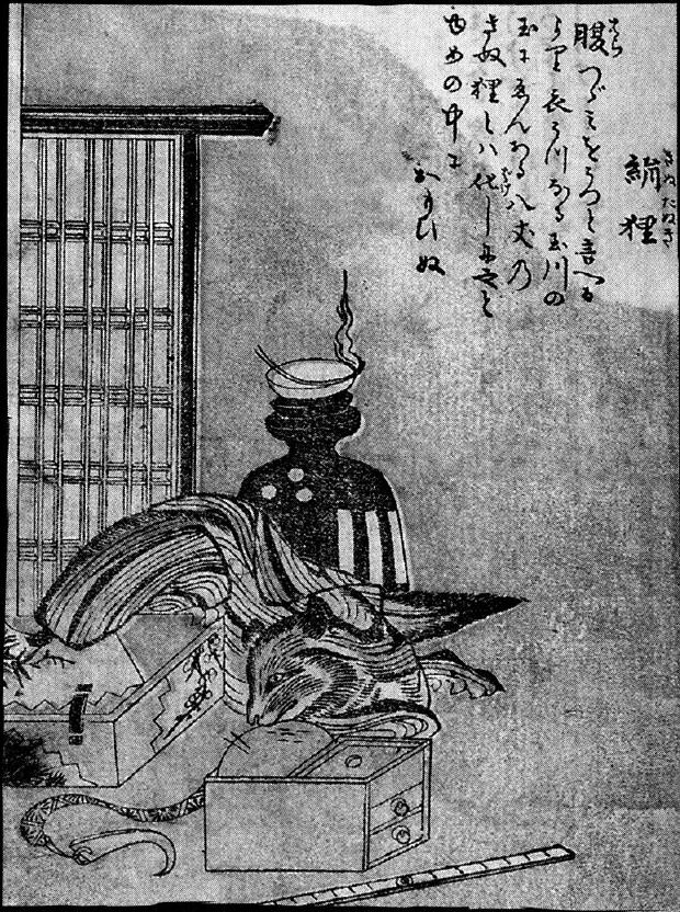 163絹狸.jpg
