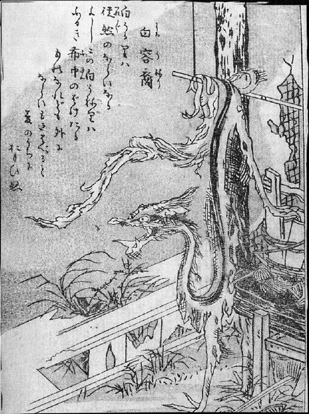 166白容裔.jpg