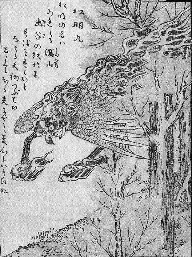 176松明丸.jpg