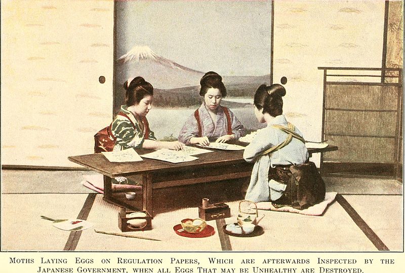 图23.jpg
