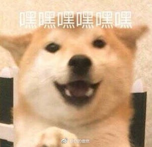 655c6ac9d66c56ff.jpg