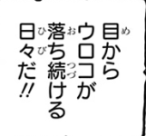 IN3CFGKCDHFL81IU{GK90MM.png