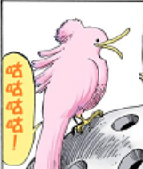 鸟7.png