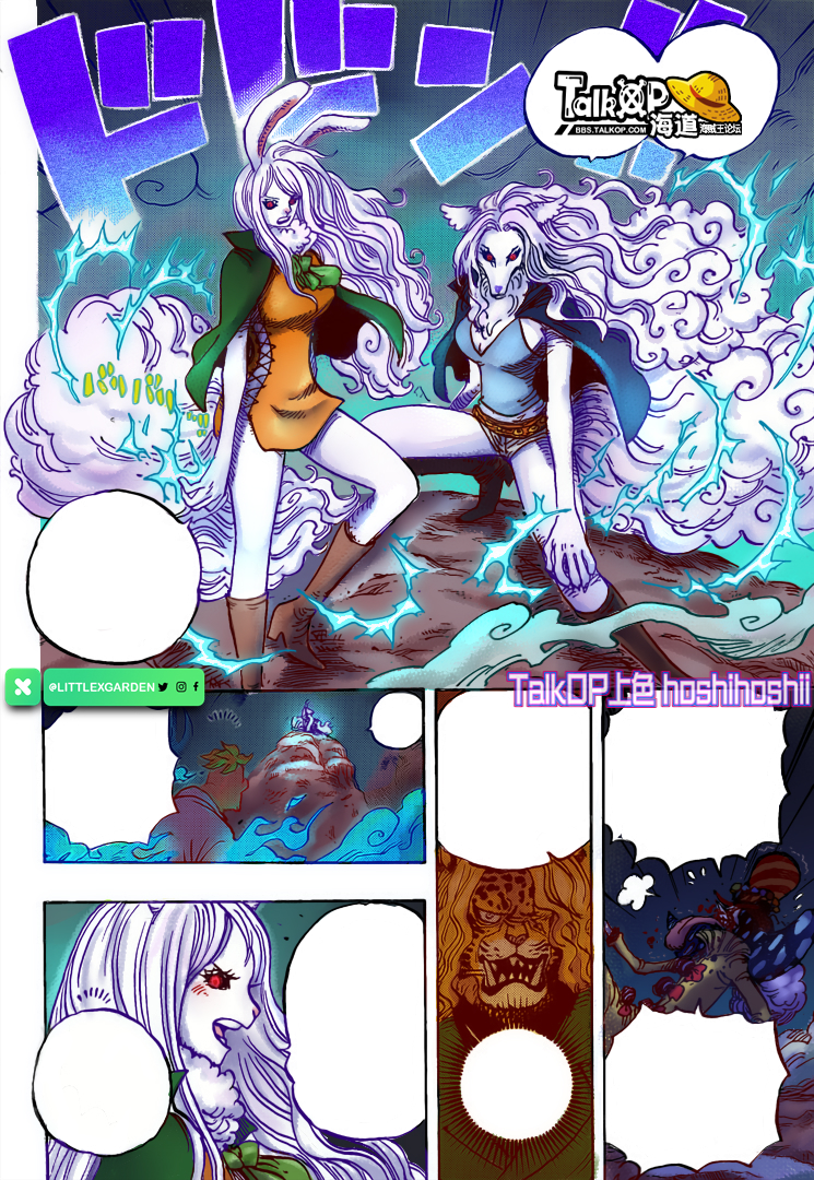 page_5 (2)_cololt.jpg