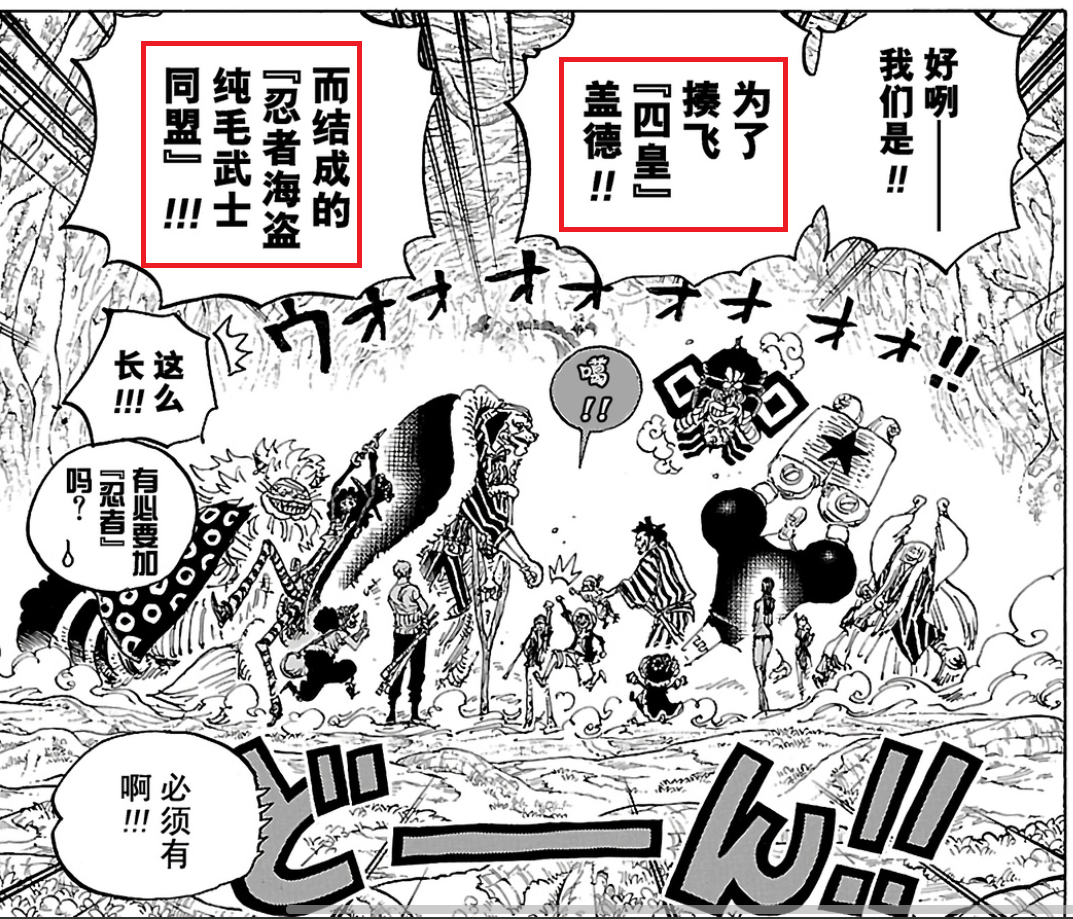 忍者海盗纯毛武士同盟.png