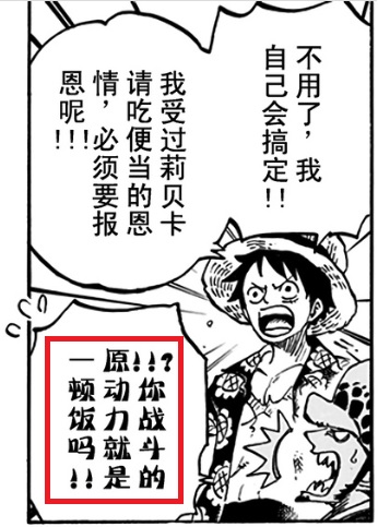 被路飞震得三观稀碎的罗.jpg