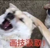 201.jpg
