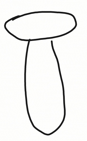 1615815124769.jpeg