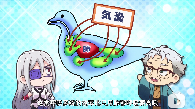 我想知道马尔科的身体构造.png