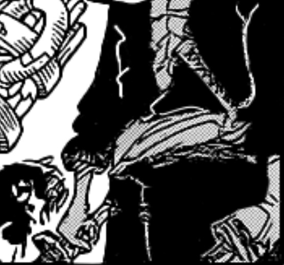 Zoro L.jpg