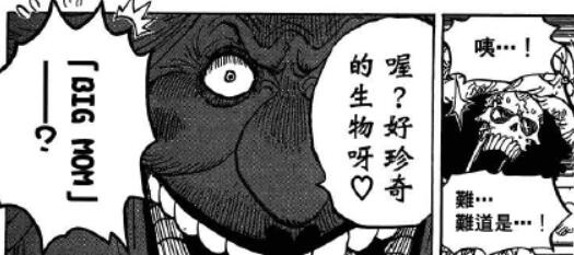 5.4 珍兽.jpg