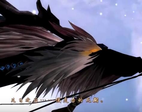 5 死期.jpg