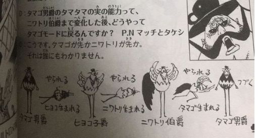 蛋蛋.jpg