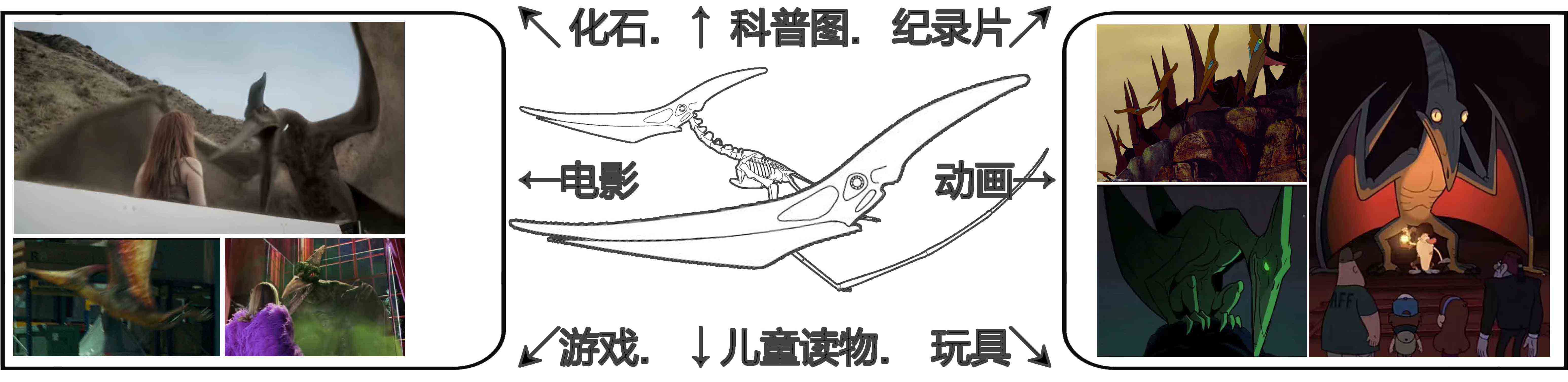 图1 翼龙 低b.jpg