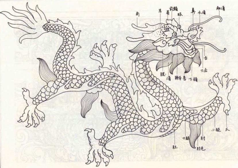 图12 龙构造图.jpg
