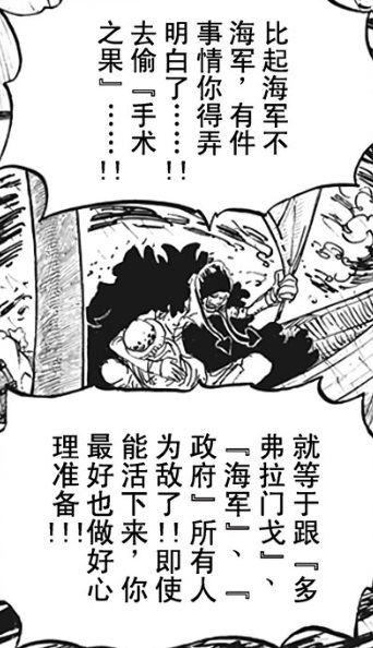 抓1.jpg