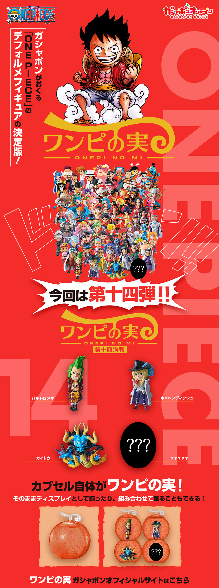 onepinomi_14_long_900_1.jpg