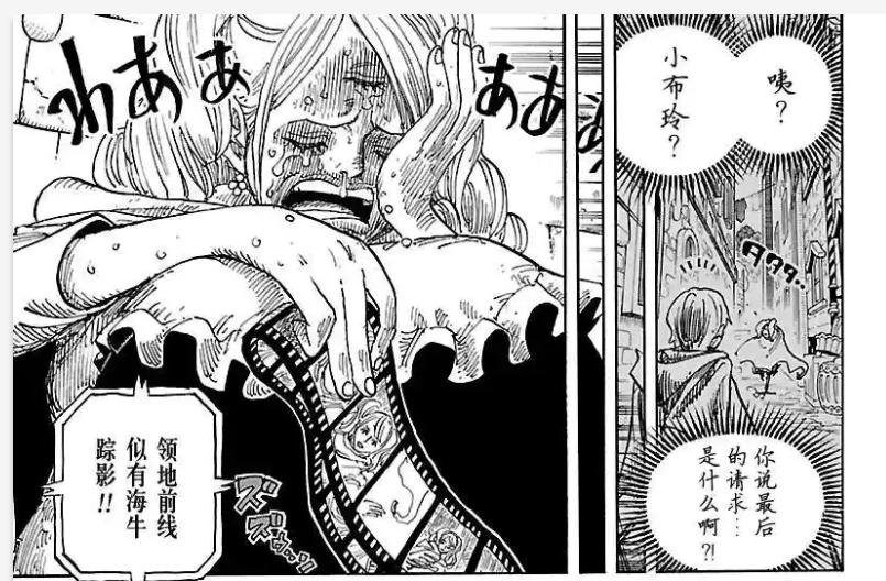 布琳7.png