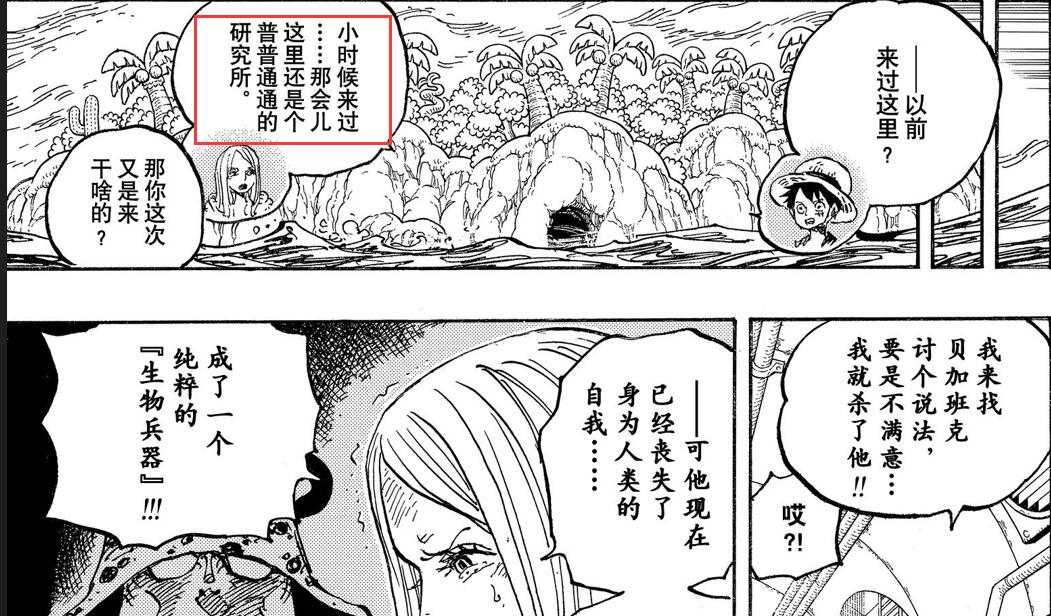 蛋头岛成立时间.jpg