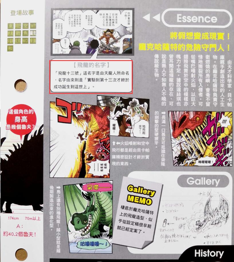 飞龙十三号.jpg