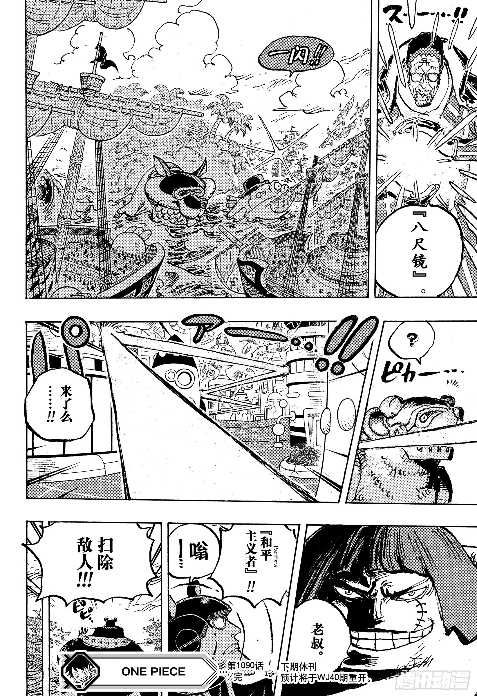 黄猿.jpg