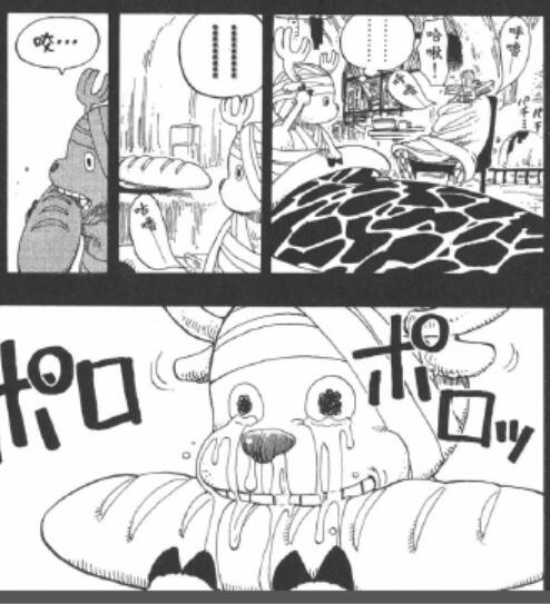 4.5 感动.jpg