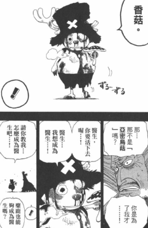 4.11 香菇.jpg