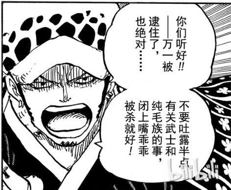 指挥5.jpg