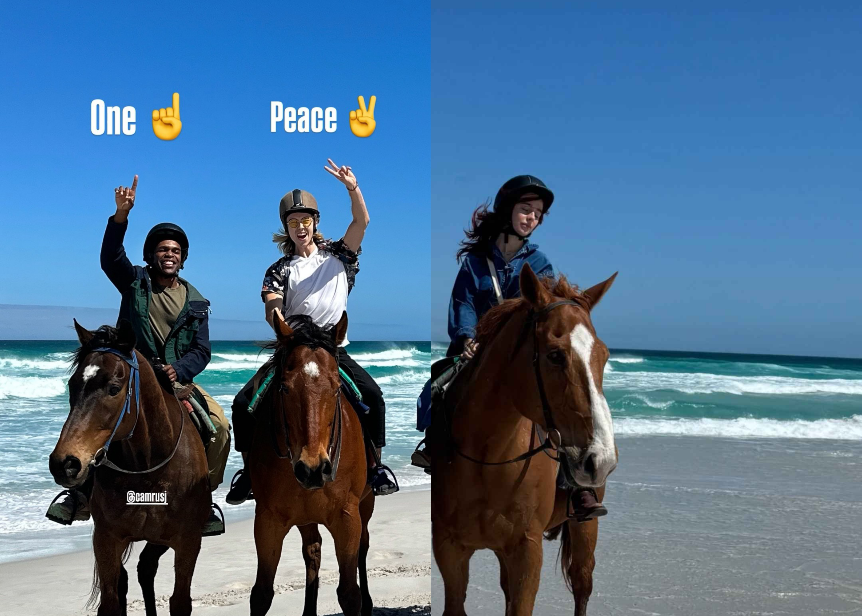 8AC5BB01A5963F14EDE4E9A1EECC013C.png