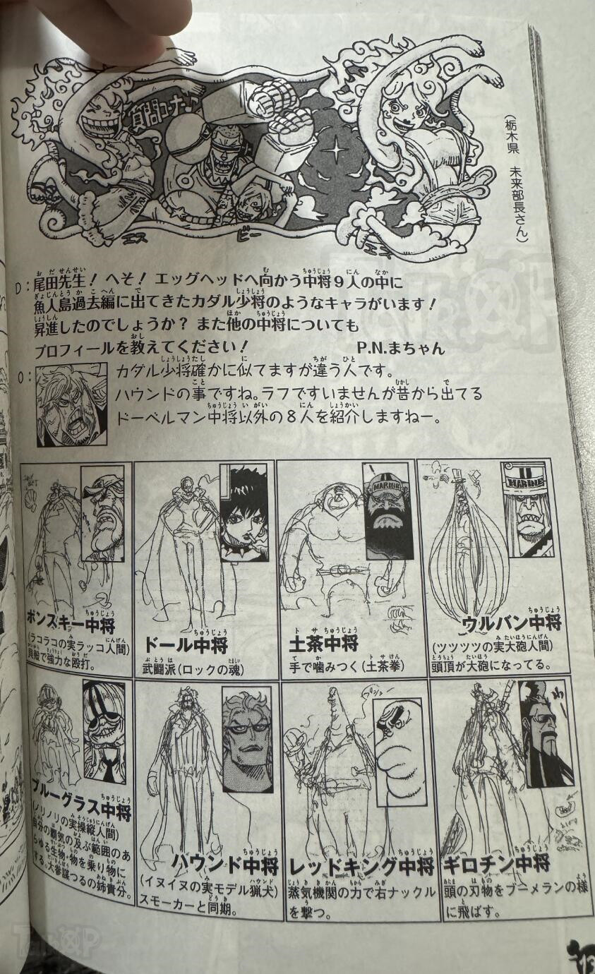 蛋头岛中将能力