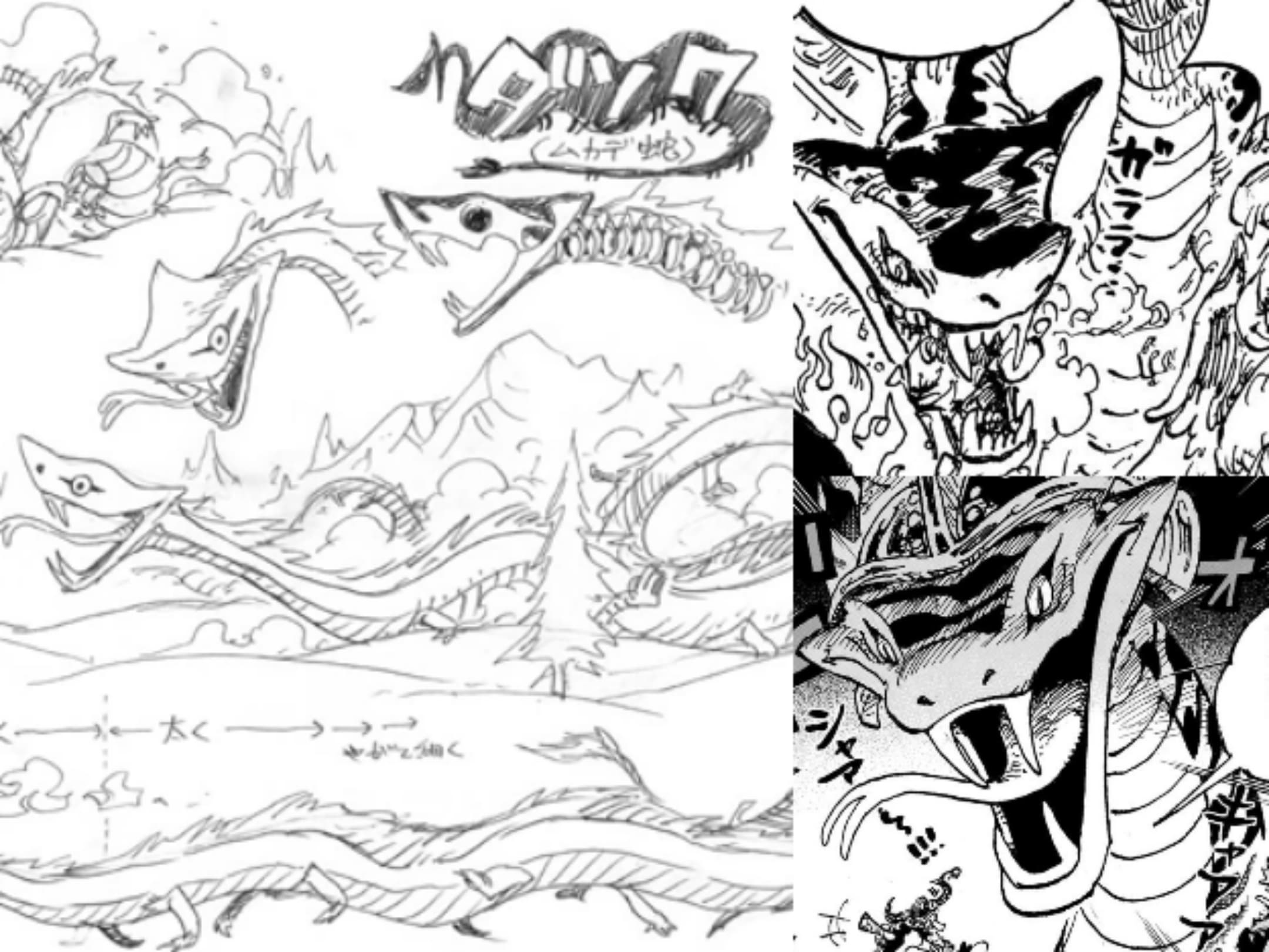 Collage_20241110_150637.jpg