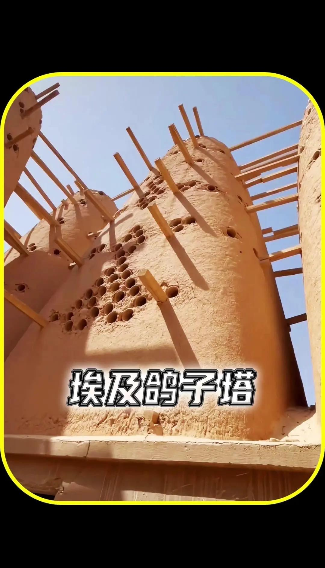 QQ图片20250414000415.png