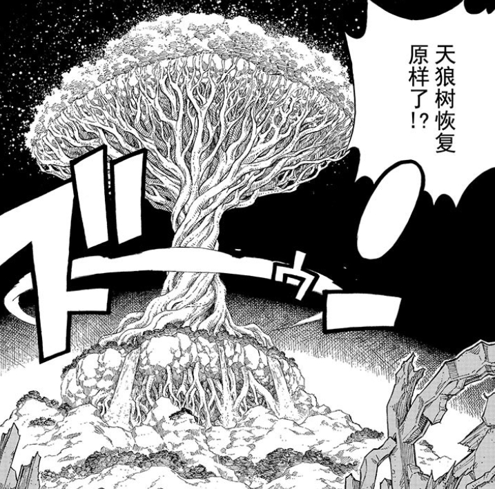 3.11 天狼树.jpg